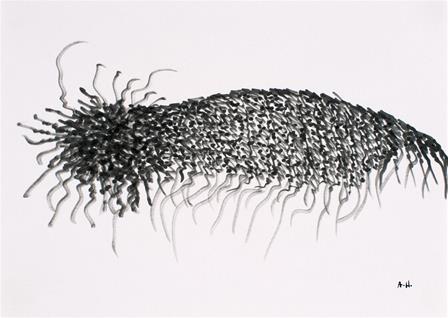 Ana HATHERLY